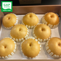 고당도 GAP 프리미엄 나주배 신고배 햇배 특품 선물세트, 1박스, 15kg (21-25과)