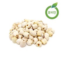 휴비안 시즌약초 면역보강약초제안 거안사위 금은화 맥문동 오미자 길경 오가피열매 침향 회화열매 연자육, 1팩, 연자육600g