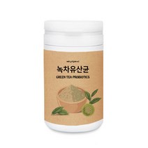에너데이 녹차유산균 가루 국내산 녹차 추출물 식물유래유산균 락토바실러스가세리 루테리 람노서스 lgg 프락토올리고당 플란타룸 김치유산균 장에좋은유산균, 230g, 1통