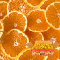 [제주열매] 고당도 감귤 서귀포 산지직송, 1box, 중대과-4.5kg