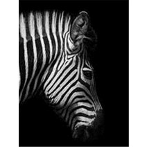 보석십자수 사각 원형 재물 풍경 얼룩말 동물 인테리어 수능 선물 보석자수 취미 자가격리, 풀 스퀘어 40X50cm, FA5-1676
