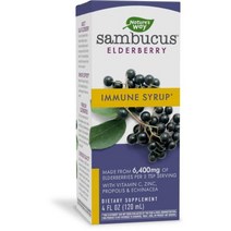 Nature s Way Sambucus Immune 엘더베리 시럽 위드 에키네시아 아연 비타민 C 4 Oz, 4 플로리다 오즈