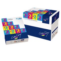 [122591]컬러레이저용지A4 (120g/250매/NEUSIEDLER), 250매