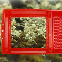 통발/낚시/캠핑칼/어항/미끼, 11.해루질수경