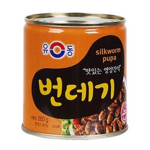 유동 번데기280g유동, 번데기280g/유동, 없음