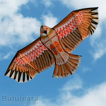 buluinara 동물모양 황금 독수리 연 (대형연 인기연 가오리연) 연날리기