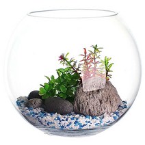 잎새몰 볼25 어항 + 바닥재 세트, 무지개혼합, 1세트