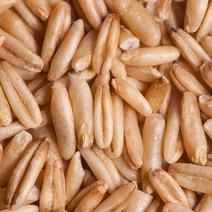 산들농산 2022년 국내산 귀리1kg 2kg, 1kg, 1개