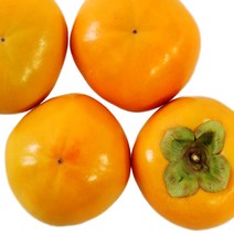 단감아빠 황현성농장의 고당도 창원 단감 10kg, 10KG 60과 이내, 1박스