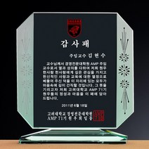 [랜드마크트로피] 최고인기 상패 감사패, 상품명: L5-101-대+자석케이스, 1개