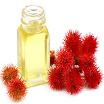 퓨어라이프 피마자오일, 100ml, 1개, 100ml