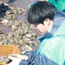 [전복의가족] 가족이 파는 완도전복 직거래 (전복 7미~25미), 14마리, 1kg