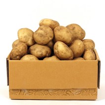 농부마음 맛있는 햇 감자, 대/상/계란싸이즈, 5kg