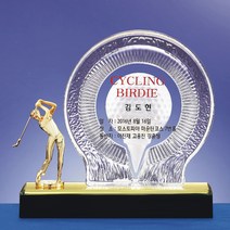 [상패다] 싱글패 홀인원 언더파 이븐파 이글패 골프트로피 HP17-25