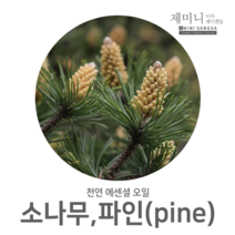 [제미니상사] 천연에센셜오일 아로마테라피 소나무 파인(pine), 1개, 50ml
