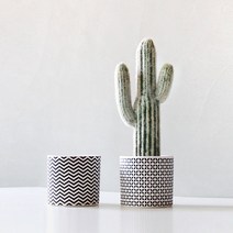 스타일 선인장 Classy 패턴 SET(스윗화이트) 소-42cm, 도트 패턴