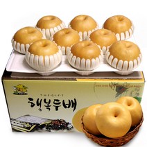 소담촌 2022 수확 햇배(가정용/첫수확), 1박스, 15kg(15~20과)/대과