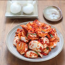 토종원 청정해남 화원농협 맛깔스런 양파김치 3kg