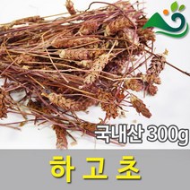 건강(말린생강)(300g)-국내산, 300g, 300g, 1개