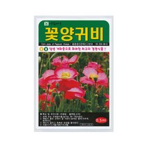 꽃양귀비씨앗 1000립