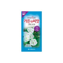 수입야생화씨앗 100선 나팔꽃 보라별 30립