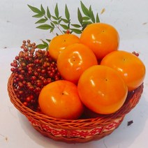 GAP인증 밀양단감 단감, 1박스, GAP인증 밀양단감5kg24-26과
