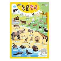 [그린키즈] 별초롱 반짝이 벽그림 유아학습프로그램 14종 택1, 별초롱 반짝이 벽그림 - 동물천국