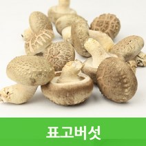 자체브랜드 생표고, 생표고버섯(못난이)1kg
