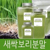 바른건강 제주도 보리새싹가루 새싹보리분말 보리순100% 국내산 제주, 2개, 100g
