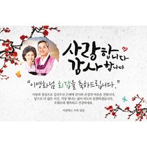 애니데이파티 New오리엔탈매화 (포토형) 현수막, 기타