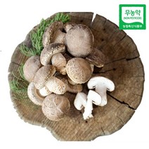 친환경팔도 무농약 송이향 송화고버섯 500g 1kg, 1박스, (실속형)1kg
