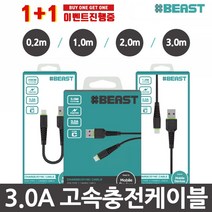 샵비스트 3.0A 고속충전케이블 1+1, 1개, 06-06.샵비화이트 C타입+C타입(1M)