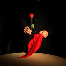 [비앤비매직] 컬러체인지로즈
