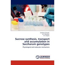 Sucrose Synthesis Transport and Accumulation in Saccharum Genotypes Paperback, LAP Lambert Academic Publishing