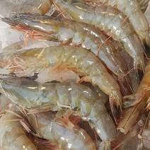 형제수산 신선한 흰다리새우 15~17마리 소금구이 찜용 튀김용, 1세트, 01_흰다리새우(15~17마리)
