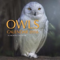 Owls Calendar 2016: 16 Month Calendar Paperback, Createspace Independent Publishing Platform