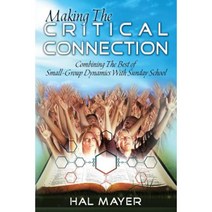 Making the Critical Connection: Combining the Best of Small-Group Dynamics with Sunday School Paperback, Createspace