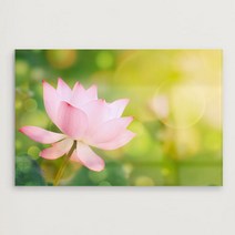 꾸밈 부귀의 상징 연꽃 아크릴액자 ch875, 타입1