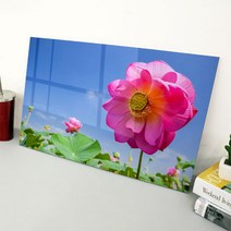 꾸밈 부귀의 상징 연꽃 아크릴액자 ch875, 타입5