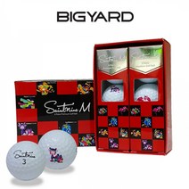 정품 스포츠용품 다양한골프공 브랜드별골프공 빅야드M 1dz/4pc/3pc 기타수량, 세인트나인M, 하프더즌(6알)