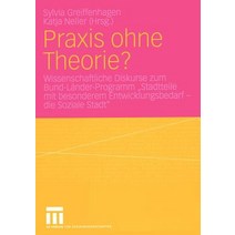 Praxis Ohne Theorie?: Wissenschaftliche Diskurse Zum Bund-Lander-Programm 