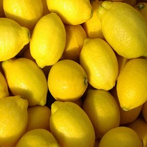 [레몬17키로] 달달과수원 신선하고 맛있는 팬시 레몬, 140개, 17kg
