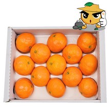 달코롬 귤로향 (카라향)2kg 산지직송, 1box, 카라향2kg
