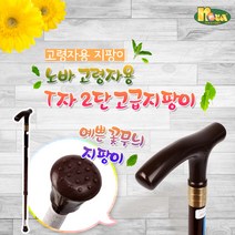 노바 2단 지팡이 고급형, 검정