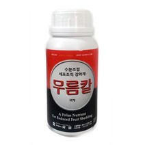 유일 무름칼액제 세포조직강화제 500ml, 1개