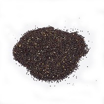 펫모닝 캣닙 씨앗 (PMC-153), 본상품선택, g, 단품