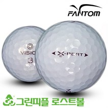 팬텀 비젼 X2 퍼터 2피스 B+급 로스트볼 16개
