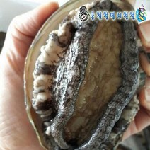 완도활전복 2kg중대 4인분 kg당 12~17미, 1개, 전복2kg중(17~18미/kg)4인분