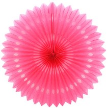 파티해 페이퍼휠 45cm, 푸치샤