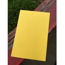페이퍼포레스트 컬러엽서 무지종이 엽서종이 10cmx15xcm 타이포/캘리그라피엽서, 10cmx15cm, 03_엘로우(A타입), 12매입
